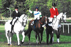 Bild von drei Reitern